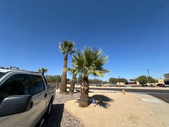2007 Ford F-150