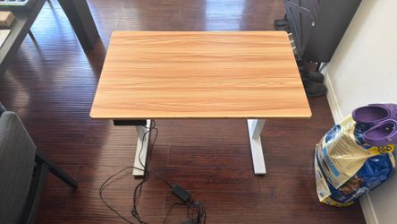 39.5 x  23.5 Electric Standing Desk