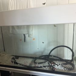 Fish Tank 55 Gallons Used Like New. Must Pick Up 