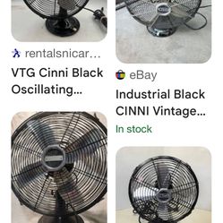 Sunni Vintage Fan Half Price 