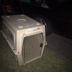 Extra-Large Dog Kennel Nice Chew Bite On The Corner Outside But Still In Great Shape Only $50 Firm