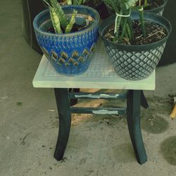 Snake Plants In Decorative Pots