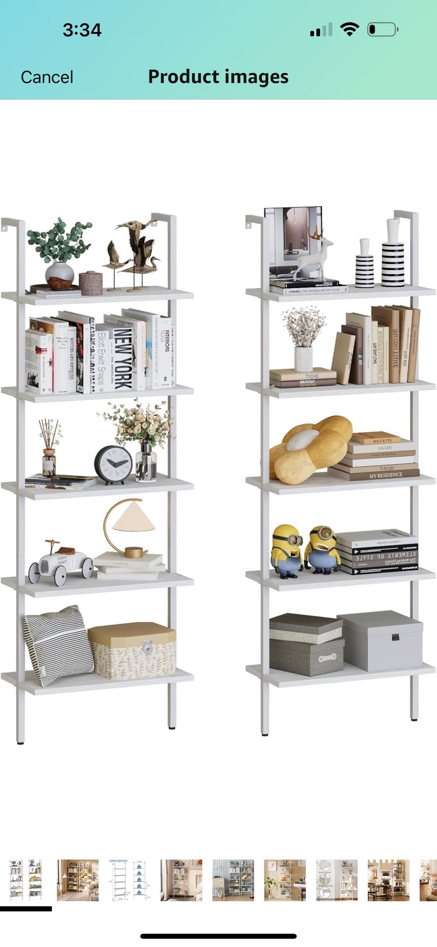 Ladder Shelf