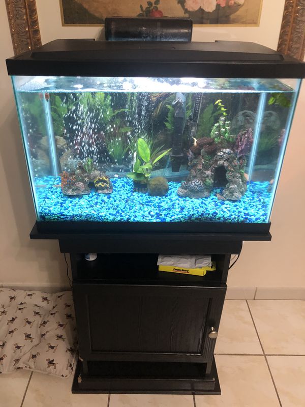 20 gallon fish tank for Sale in Hialeah, FL OfferUp