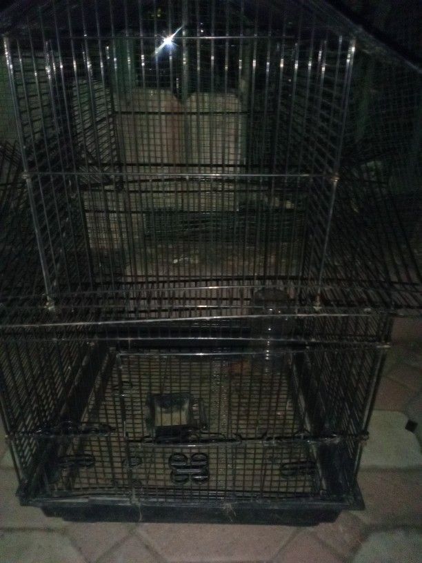 Birds Cage