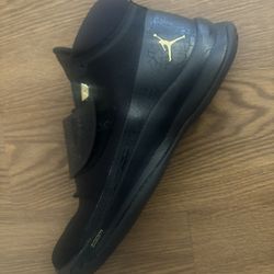 Jordan Super Fly Playoffs 