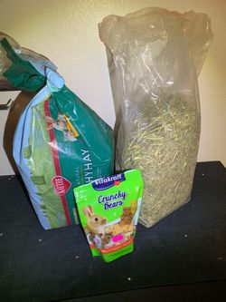 Guinea Pig & Small Pet Starter Supply Bundle