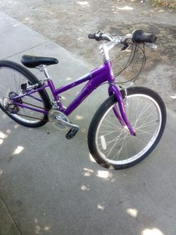 Schwinn 24 inch Bicycle