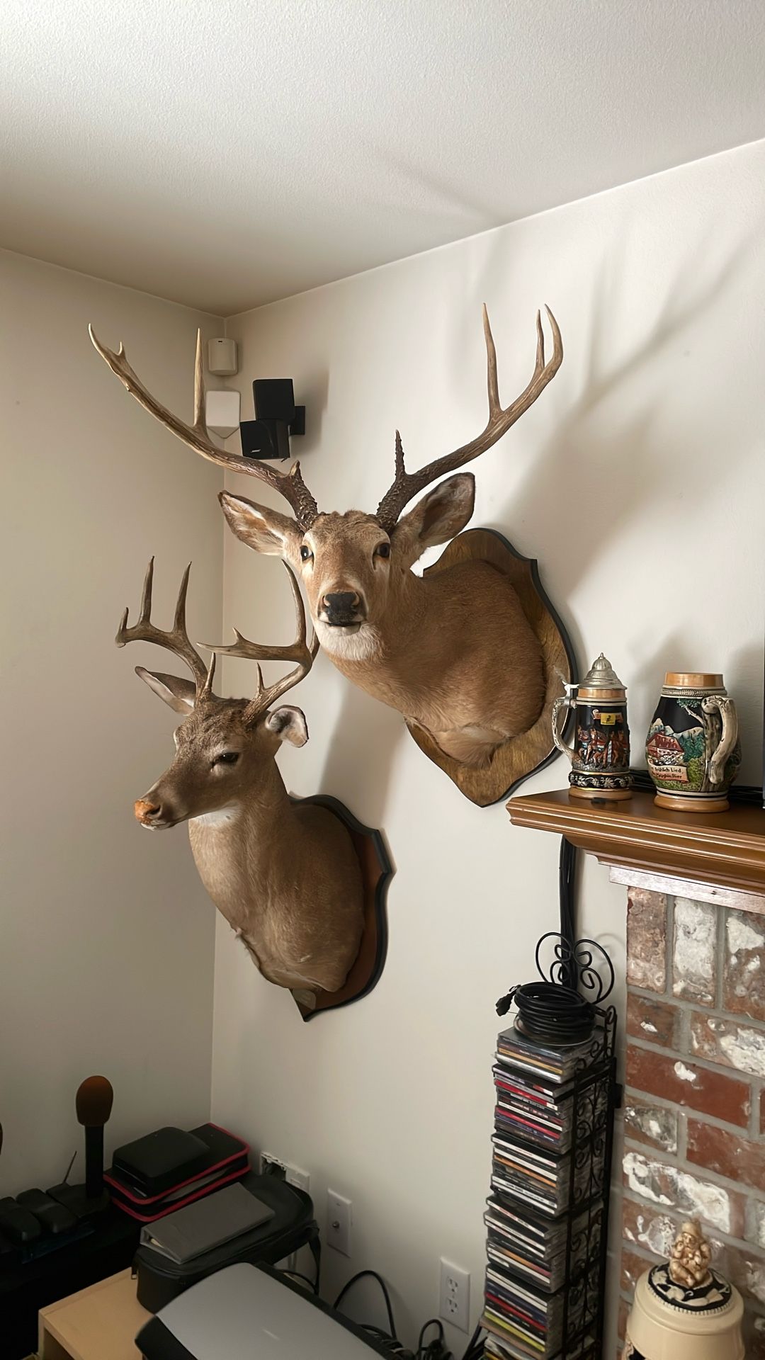 Deer head