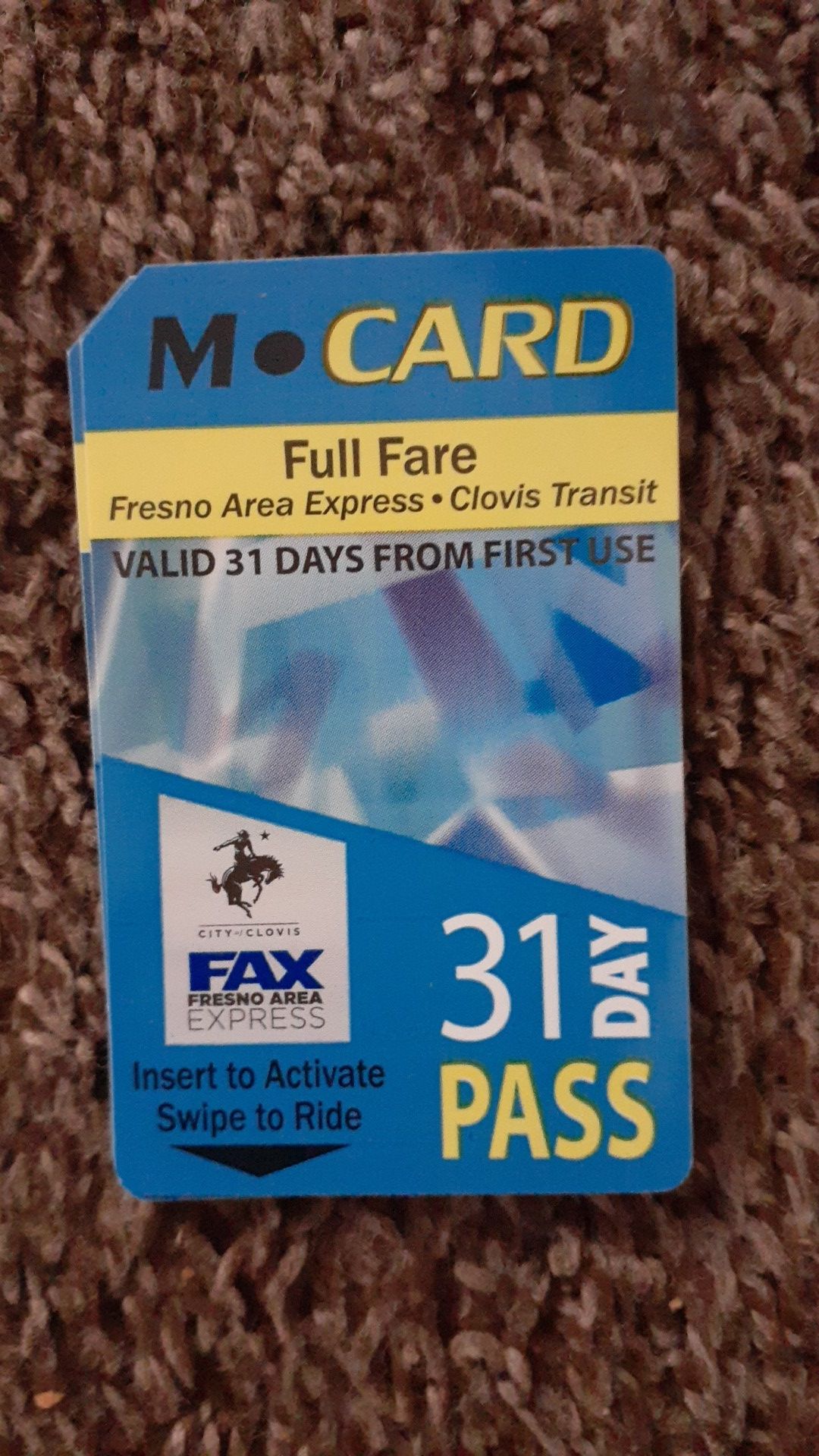 31 day Bus Pass