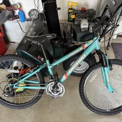 Nishiki Bike 24” Wheels 