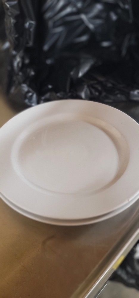 Platos De Porcelana / Dinner Plates