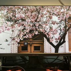 Gaming Monitor 27” 2560 X 1440 