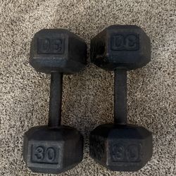 30 Pound Dumbbells