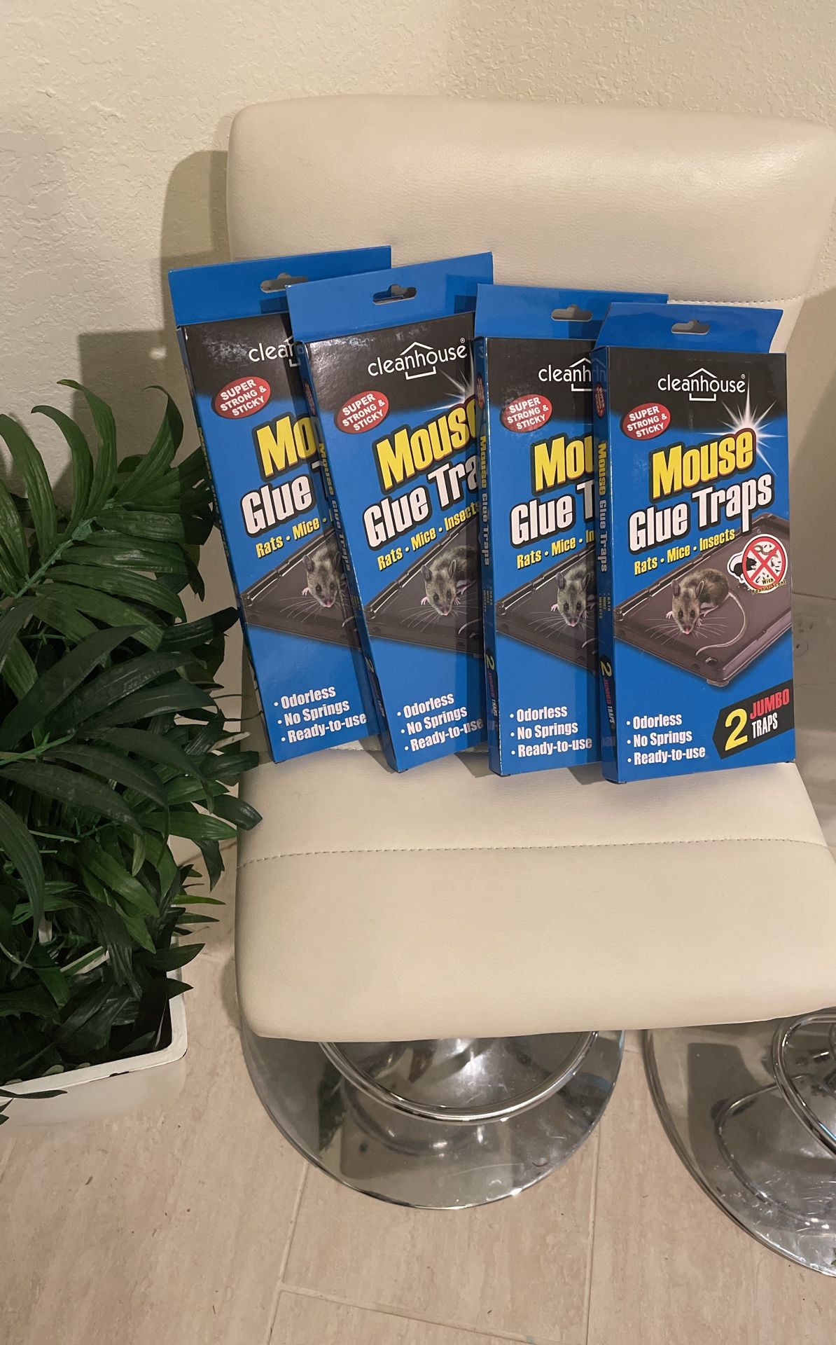 Rat And Mouse Traps