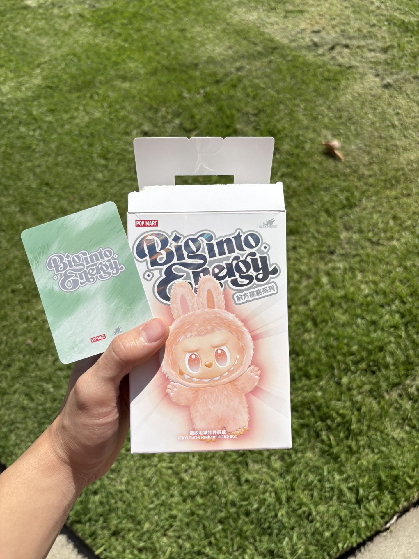 Labubu Confirmed Box “Serenity”