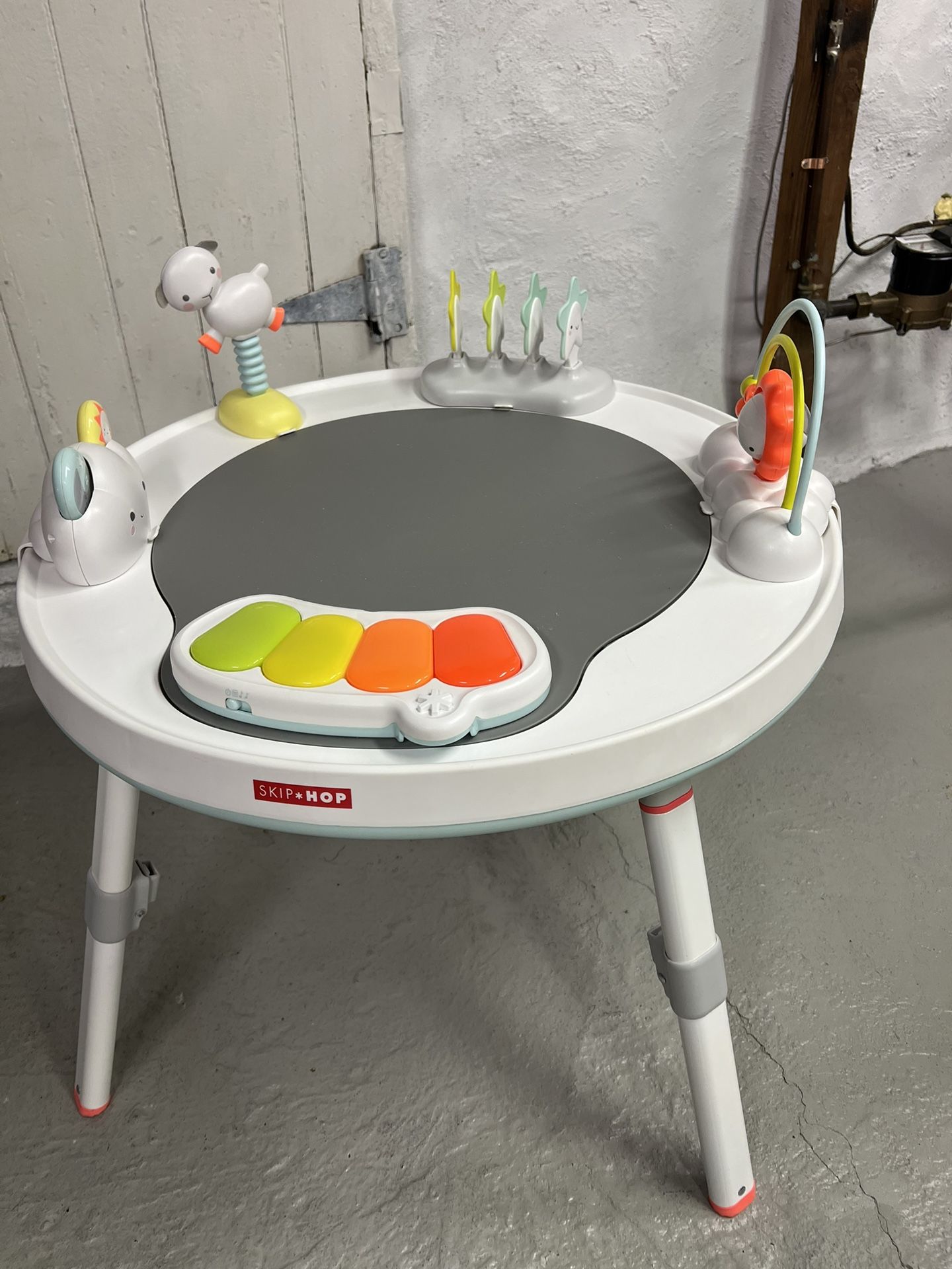 Skip Hop Baby Activity Center