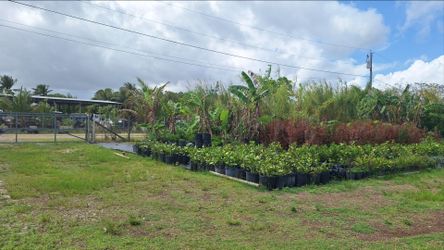 Land for sale 1 acre