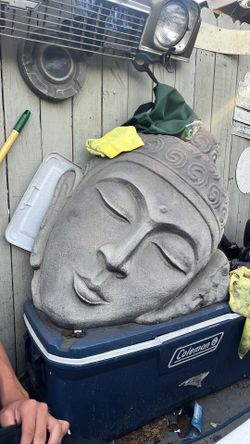 Budda head