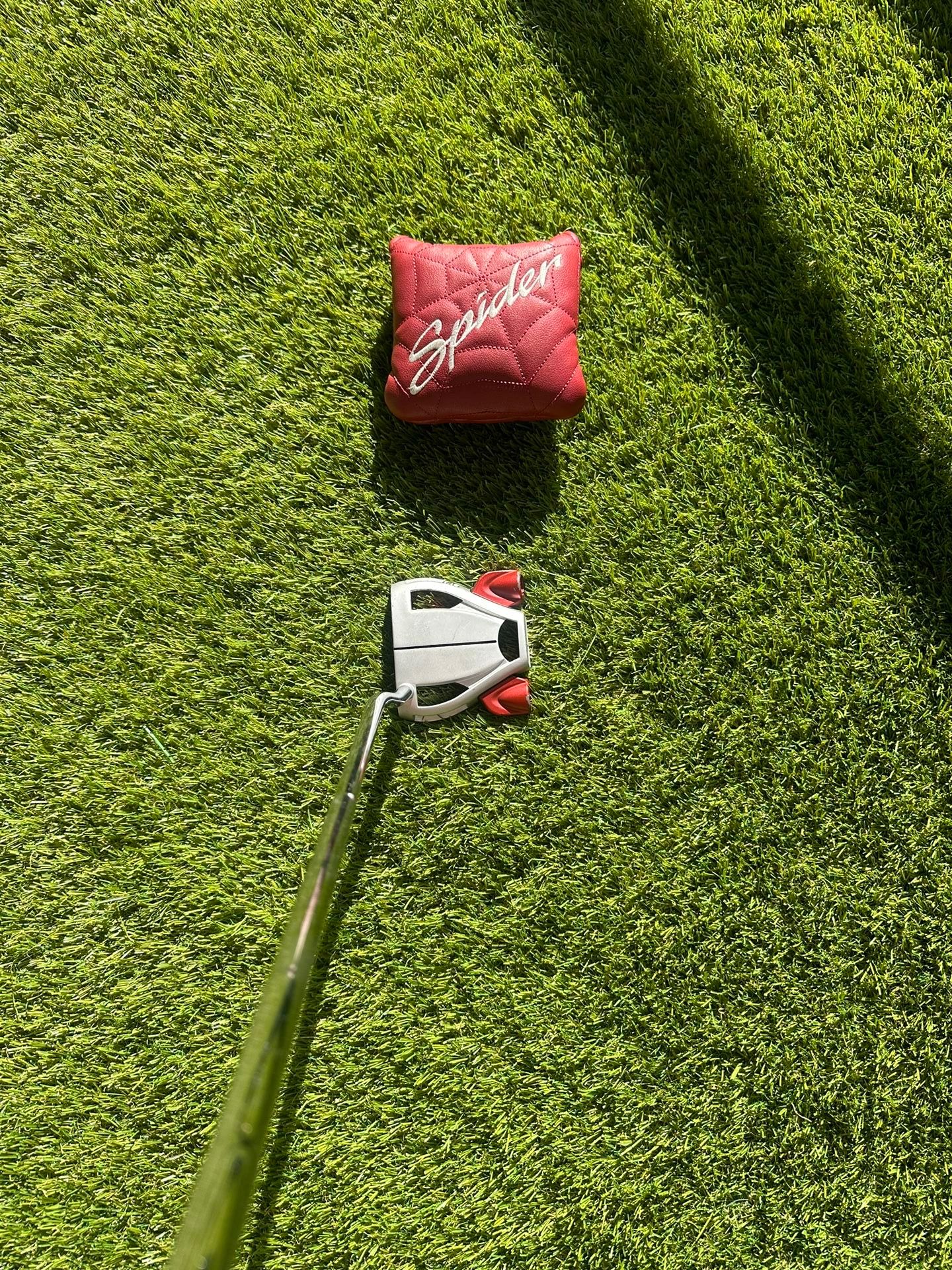 Taylormade Spider Tour Platinum