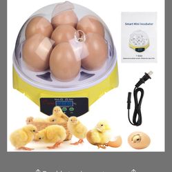 Quail Egg Incubator For Hatching, Small Quail Brooder, Outdoor Poultry Egg Incubator, Suitable For Quail Parrot Canary And Other Bird