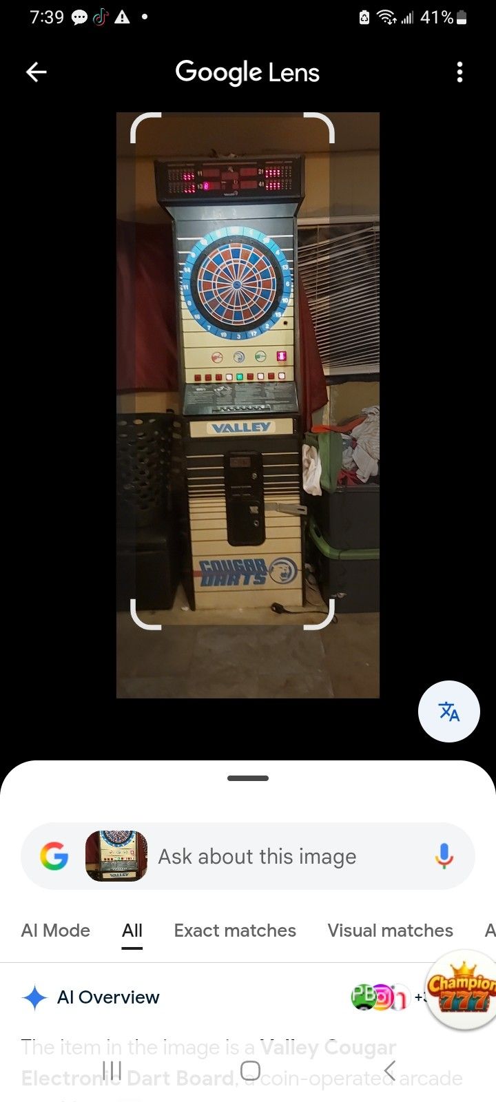 Valley Cougar Darts