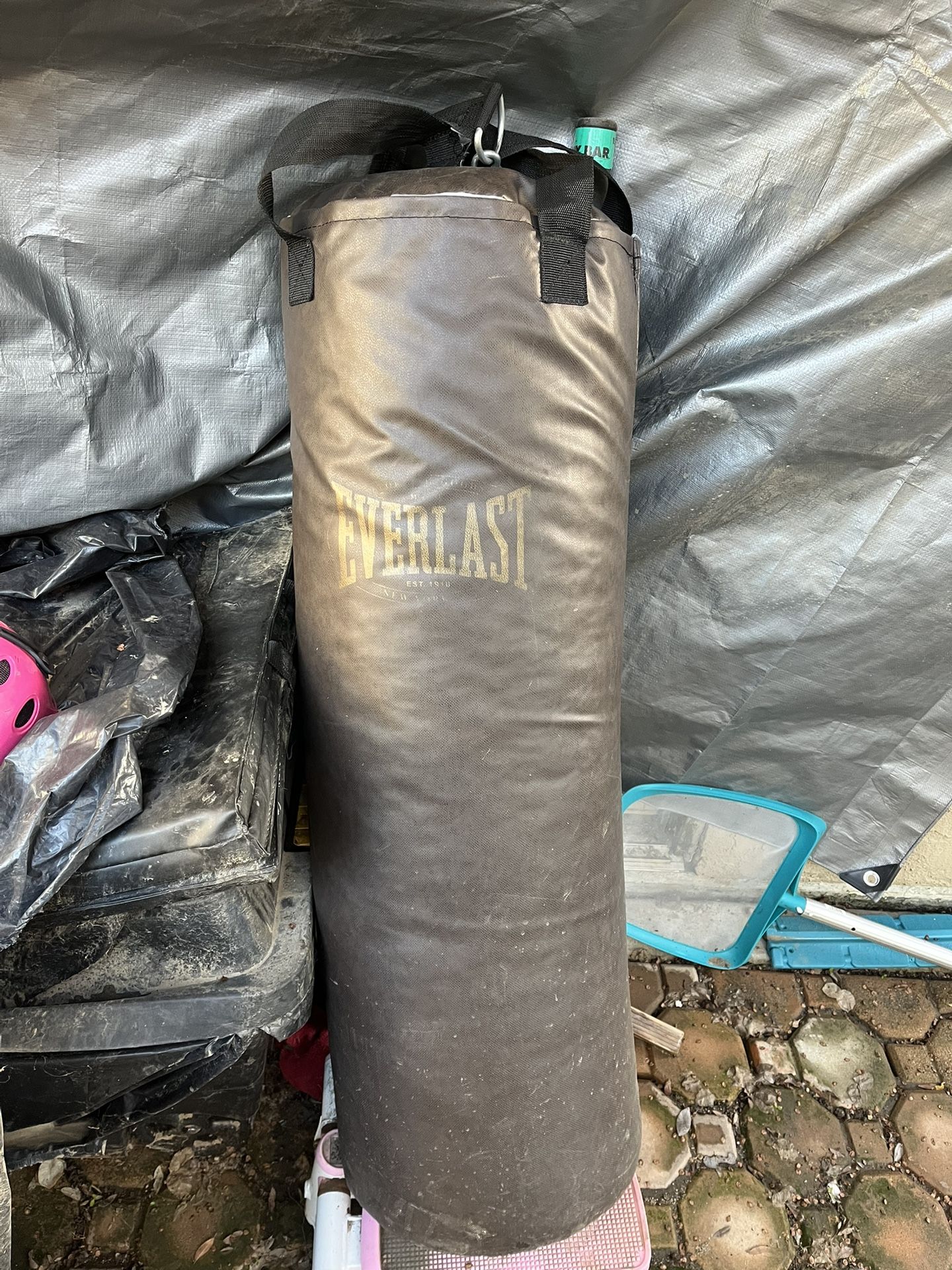 Everlast Punching Bag