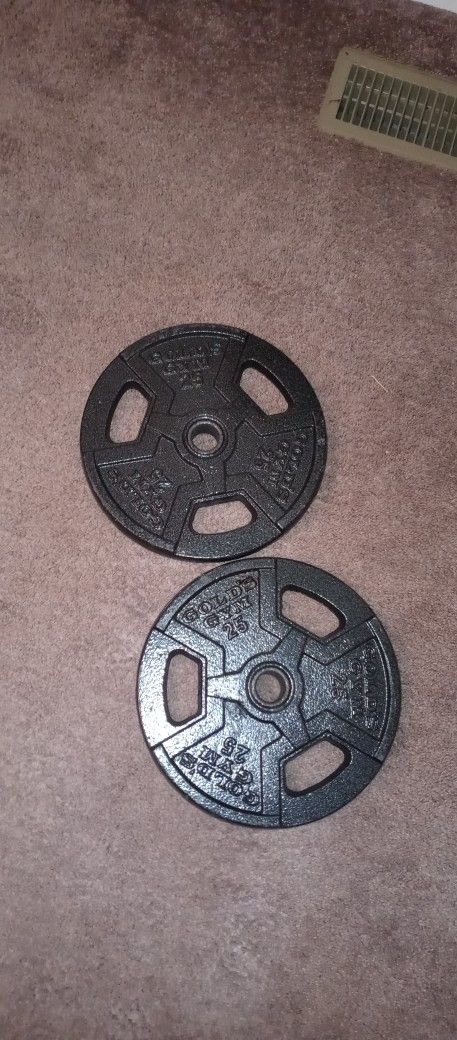 gold's gym 25lb plates