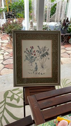 Botanical Print 28.5” Height 24.5” Wide