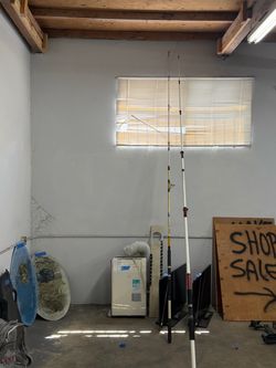 2-shore poles