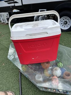 Medium Igloo Cooler