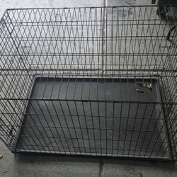 Dog Crate