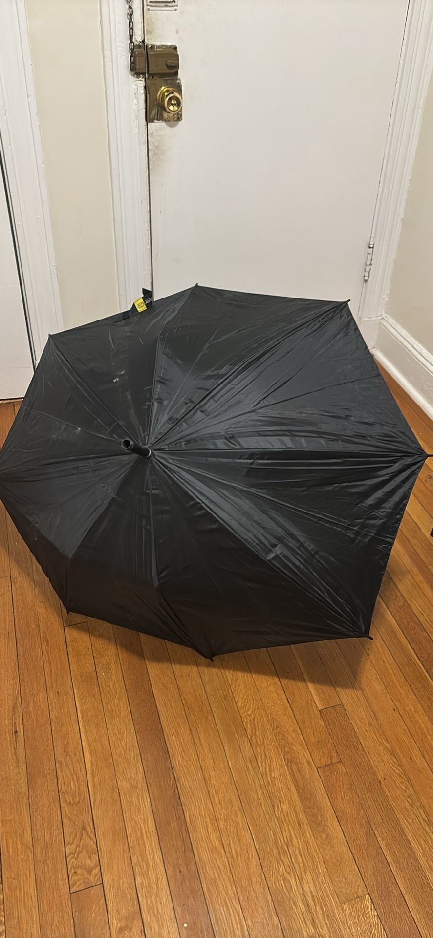 Umbrella