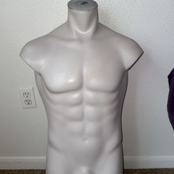 Male Mannequin (Half Body) 