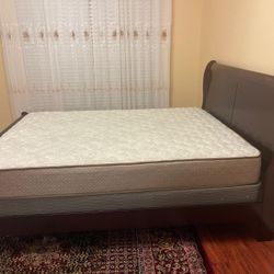 Queen Bed and Mattress 