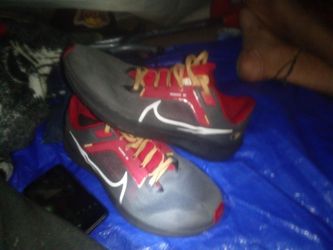 Nike, Pegasus 40