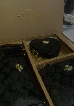 𝐁𝐥𝐚𝐜𝐤 𝐂𝐨𝐚𝐜𝐡 𝐬𝐞𝐭