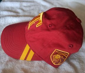 Texas Rangers Harry Potter Gryffindor theme night baseball cap Warner Bros. Melon Wear Hogwarts