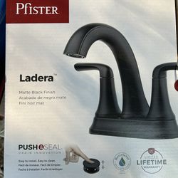 Pfister Bathroom Faucet 