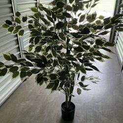 Artificial Plant 