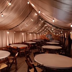 Canopy With Draping 