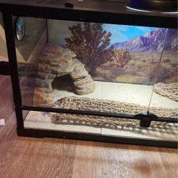 Reptile Tank Enclosure 