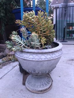 PLANTER