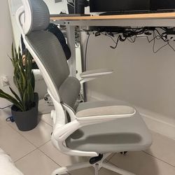 Ergonomic Office Chair - lumbar support