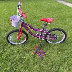 Schwinn Bike 18 Inch Wheels