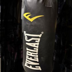 Everlast 40 Lb Punching Bag & Mount And Anchor