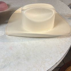 Sombreo Cuernos Chuecos 