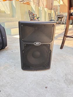 Peavey pvxp 10 speaker