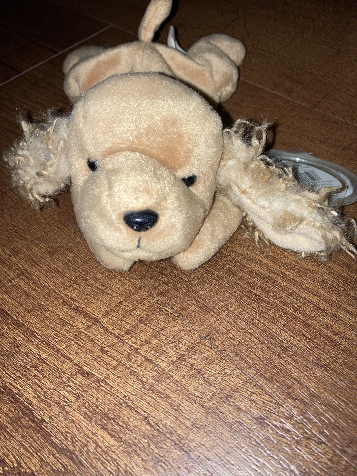 “SPUNKY” BEANIE BABY