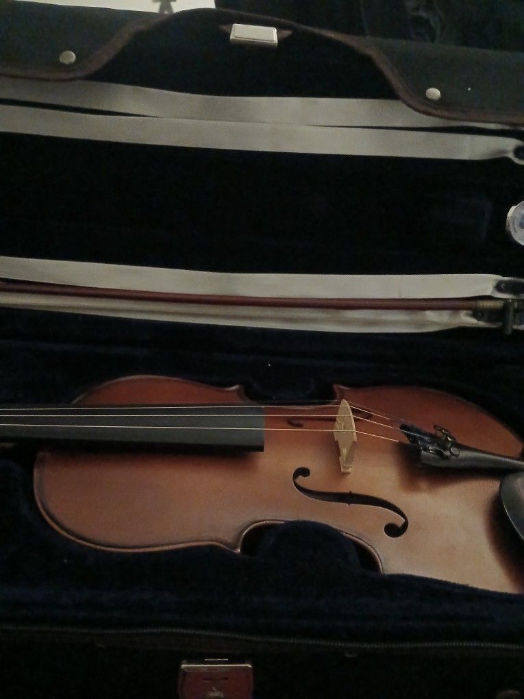 Violin